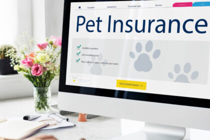 Assurer son animal dès son adoption : que faut-il savoir ?